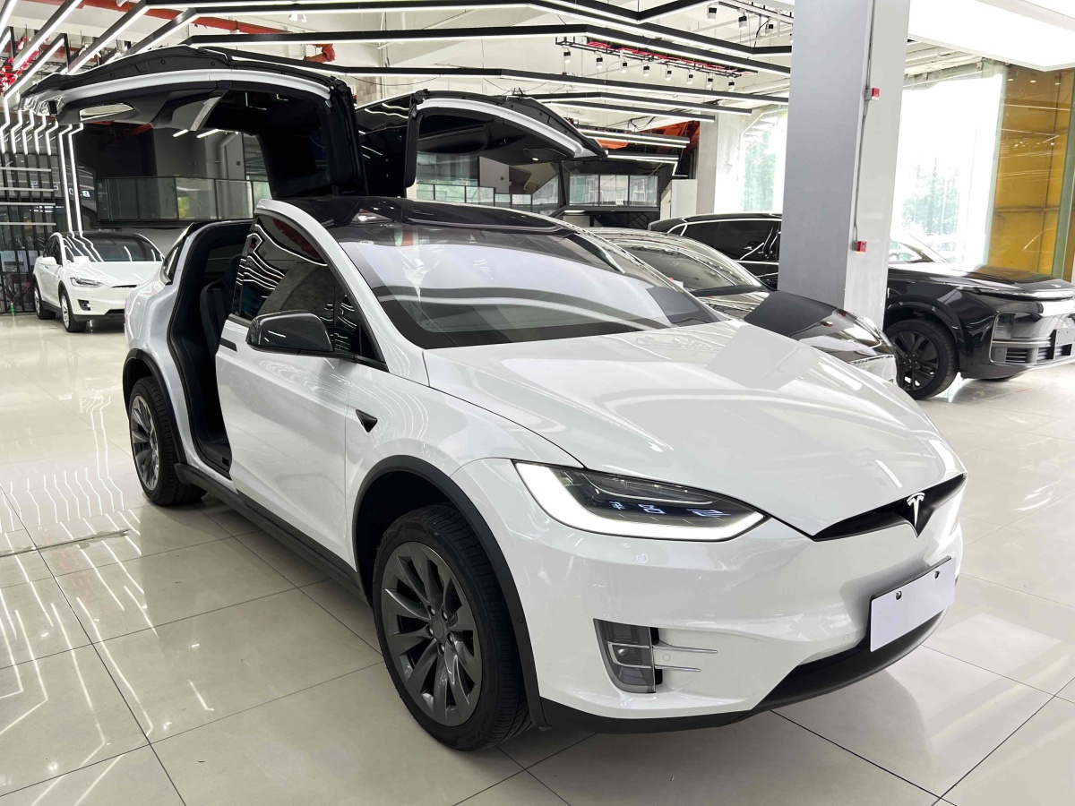 特斯拉 Model X  2019款 長(zhǎng)續(xù)航版圖片