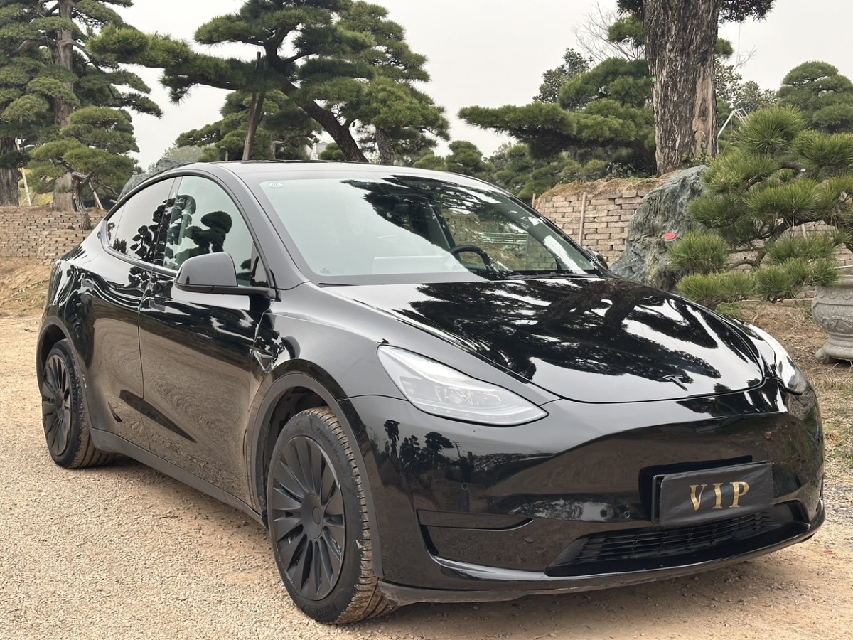 特斯拉 Model Y  2022款 后驅(qū)版圖片