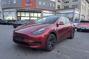 Model Y 特斯拉 改款 长续航后轮驱动版