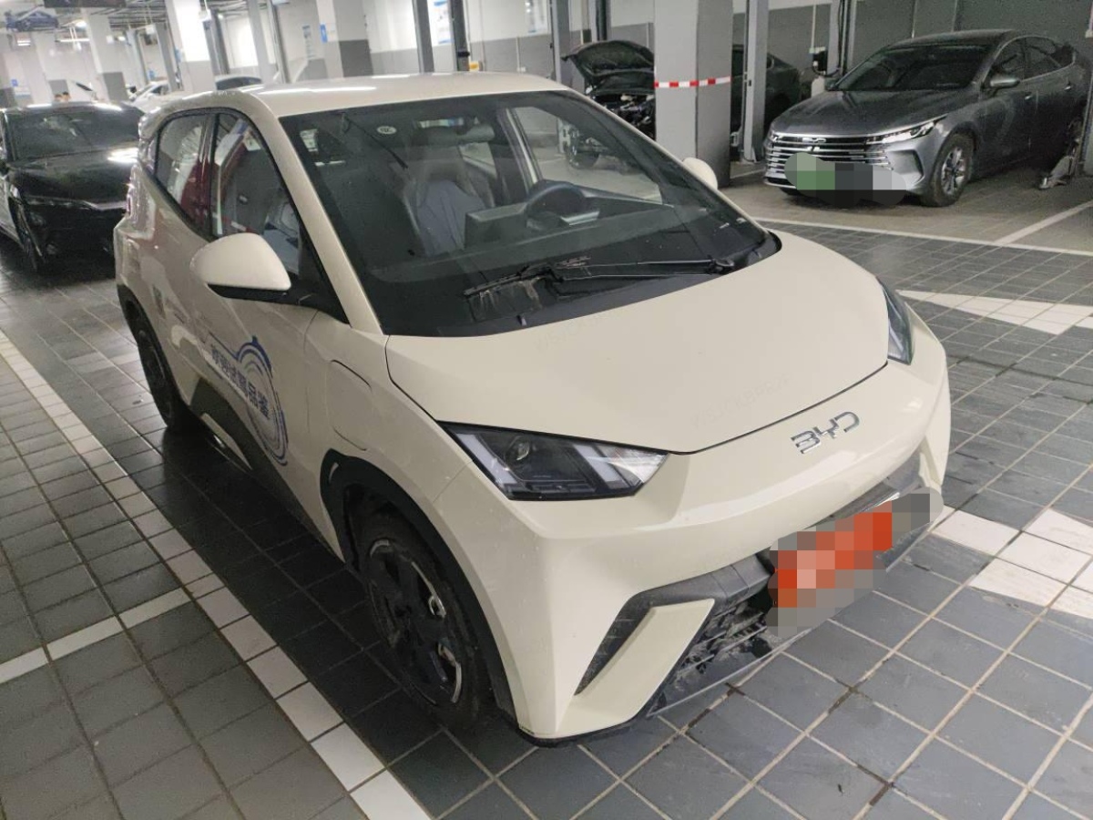 比亞迪 海鷗  2024款 榮耀版 405km 飛翔版圖片
