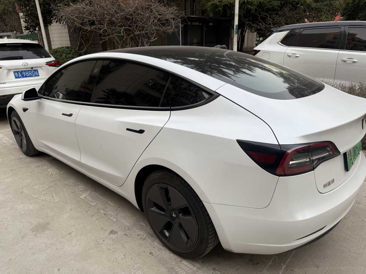 特斯拉 Model 3  2021款 標(biāo)準(zhǔn)續(xù)航后驅(qū)升級(jí)版 3D6圖片