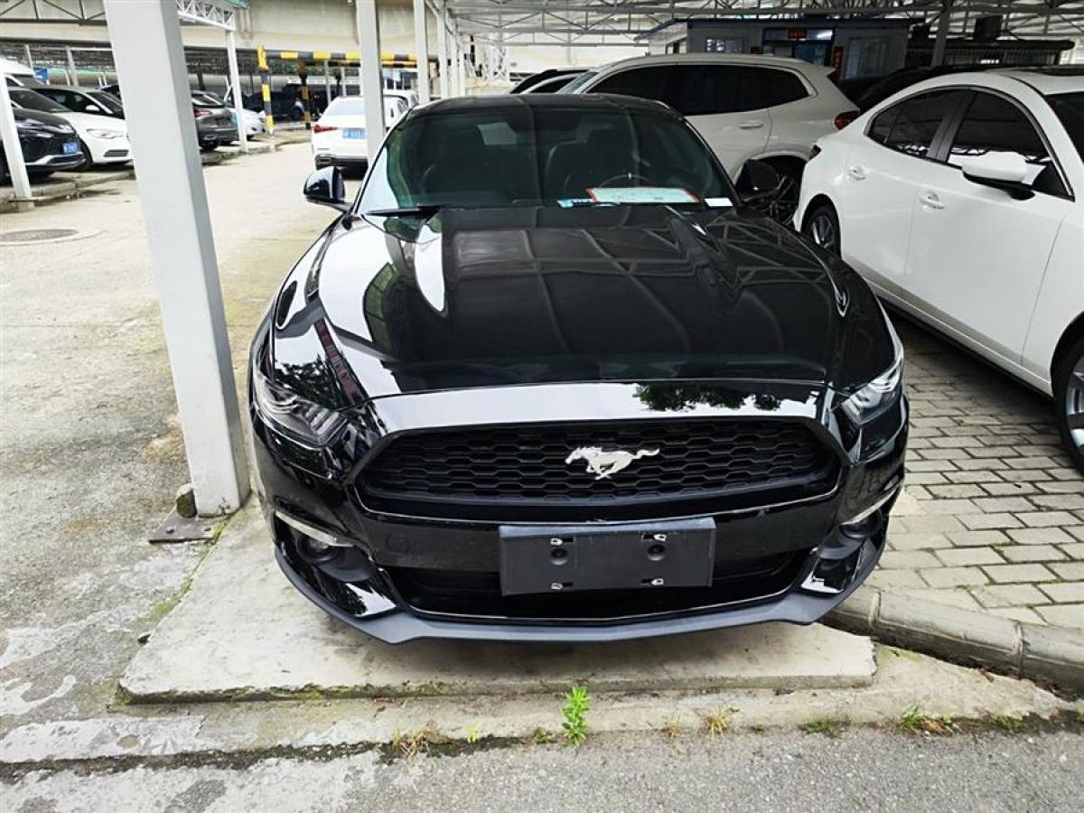 福特 Mustang  2015款 2.3T 性能版圖片