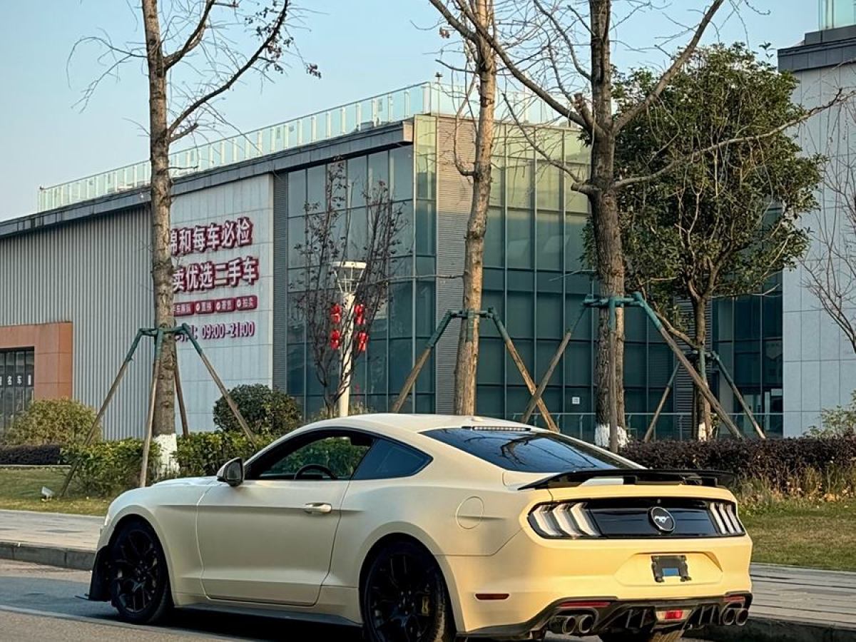 福特 Mustang  2019款 2.3L EcoBoost圖片