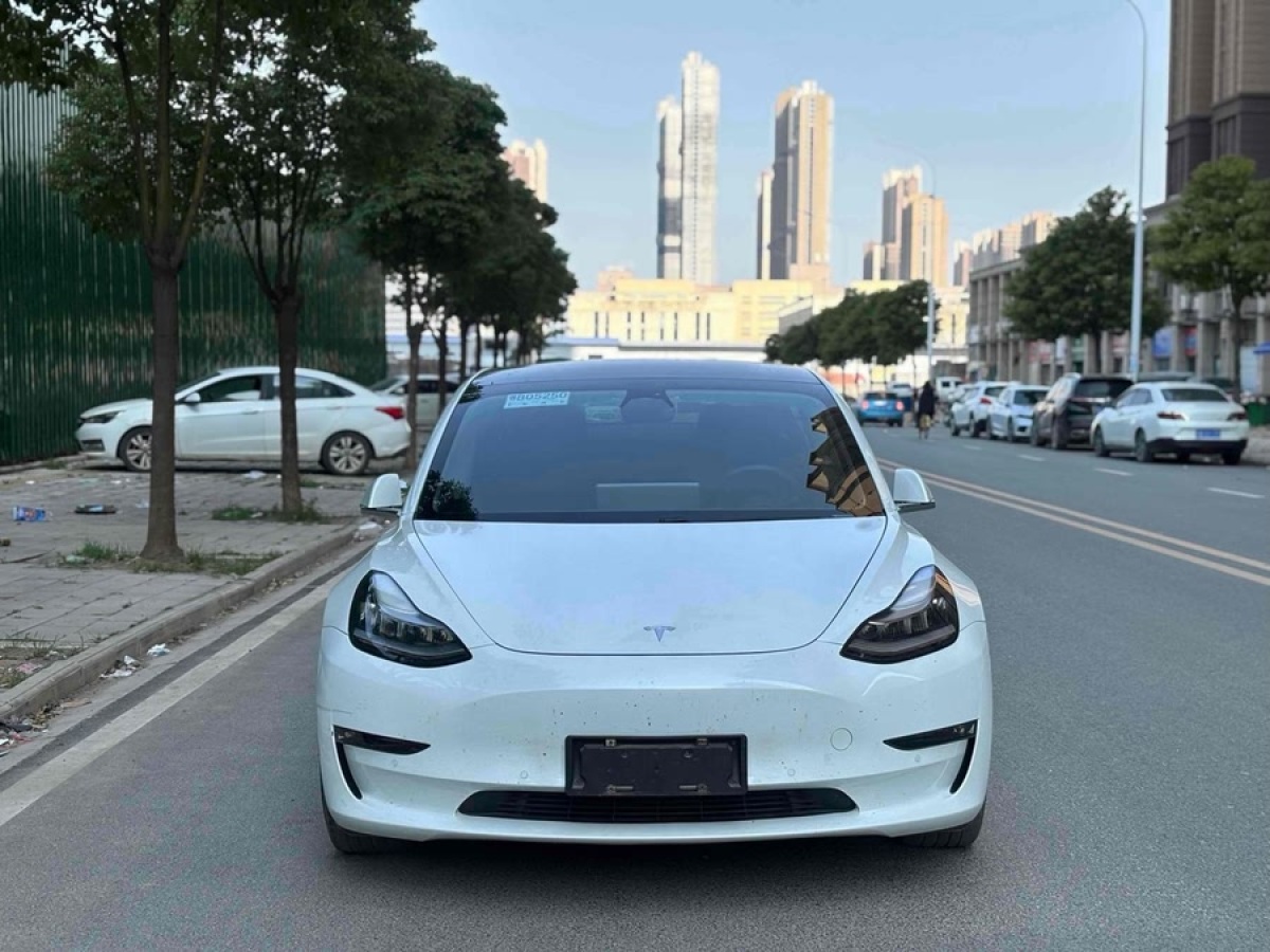 特斯拉 Model 3  2020款 改款 標(biāo)準(zhǔn)續(xù)航后驅(qū)升級(jí)版圖片