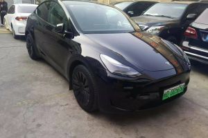 Model 3 特斯拉 Performance高性能全轮驱动版