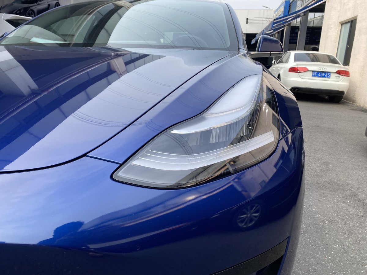 特斯拉 Model 3  2019款 標(biāo)準續(xù)航后驅(qū)升級版圖片