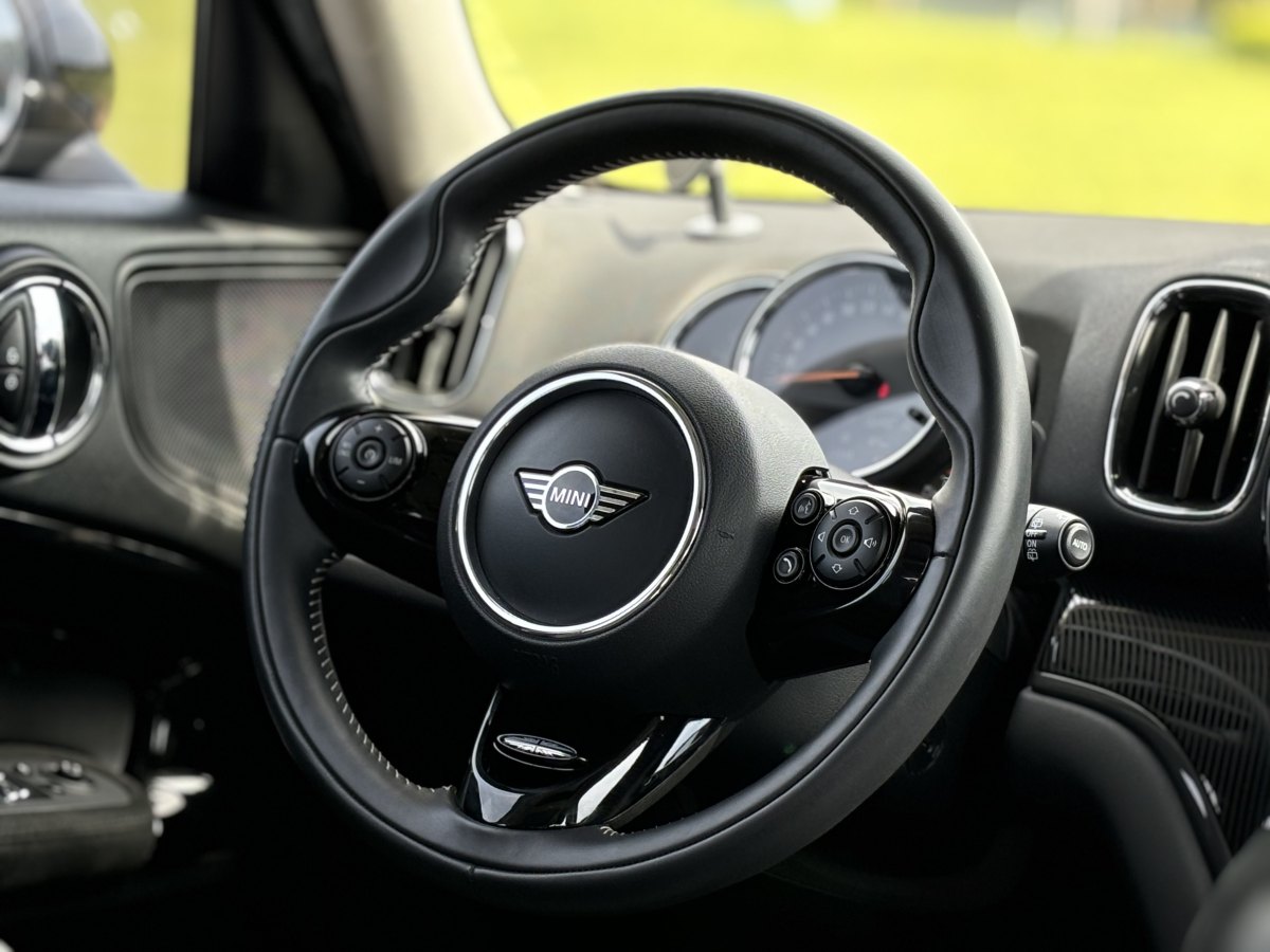 2019年7月MINI COUNTRYMAN  2019款 2.0T COOPER S ALL4 藝術(shù)家