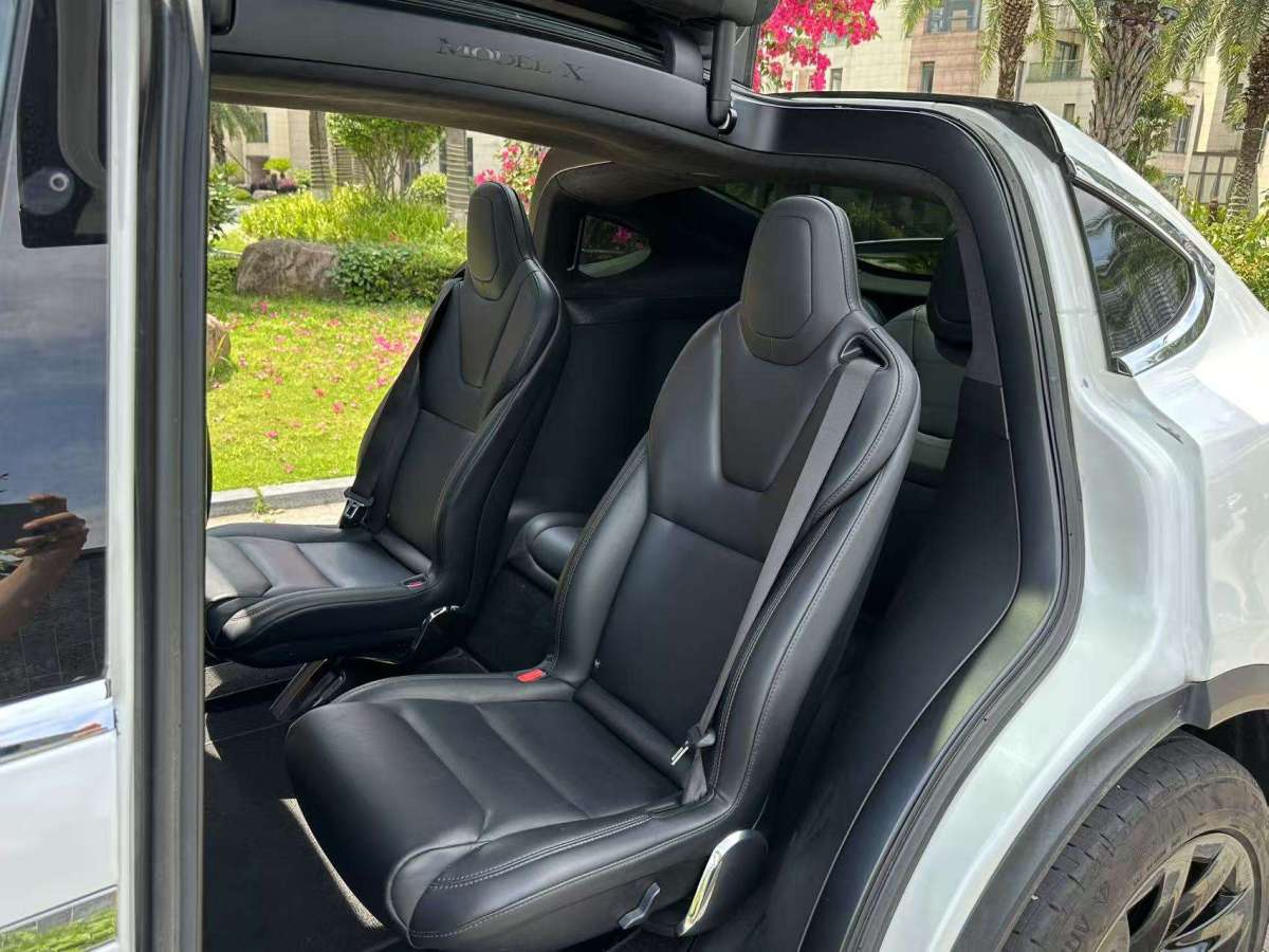 特斯拉 Model X  2017款 Model X 100D 長(zhǎng)續(xù)航版圖片