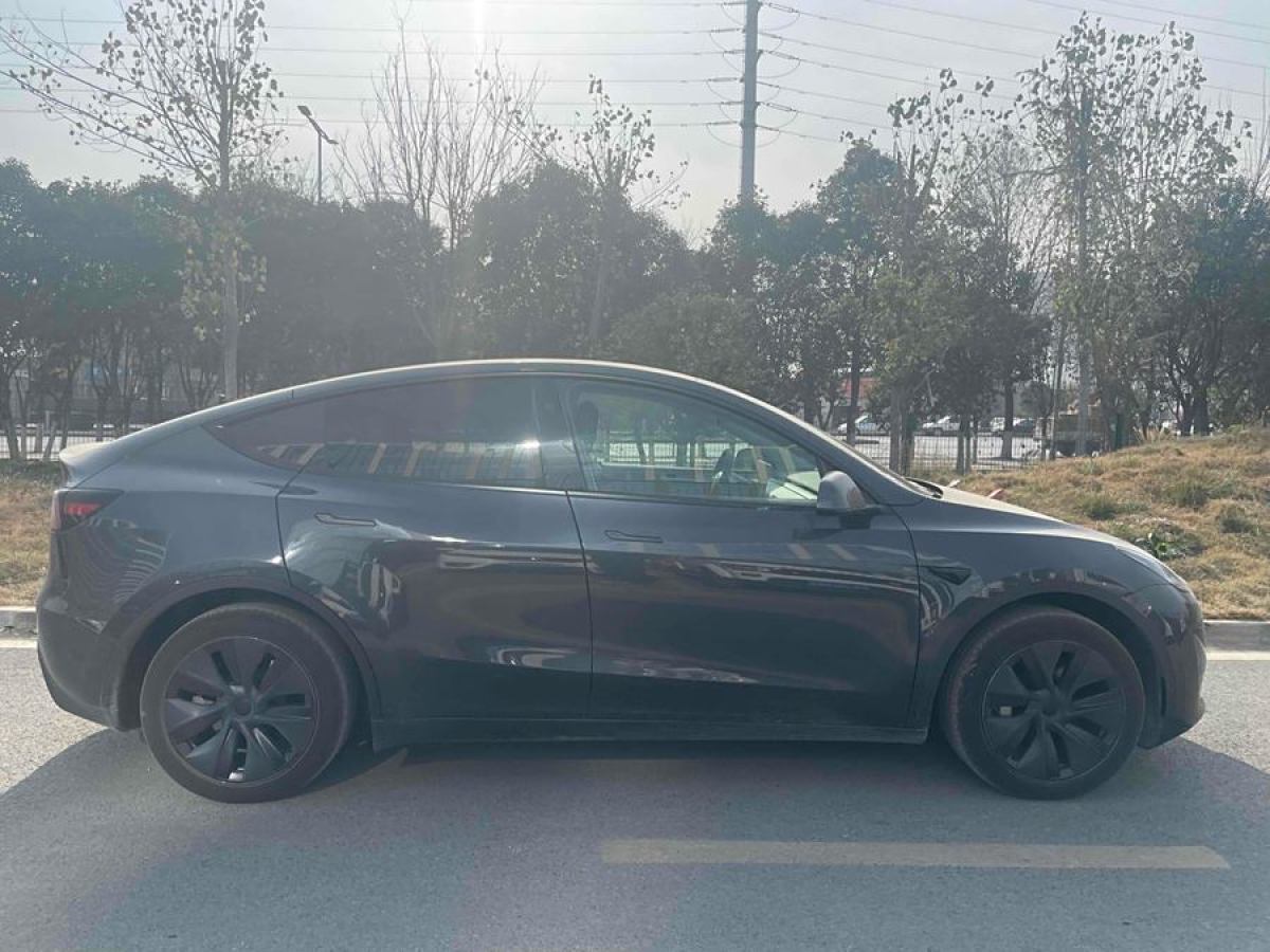 特斯拉 Model 3  2020款 改款 長續(xù)航后輪驅(qū)動版圖片