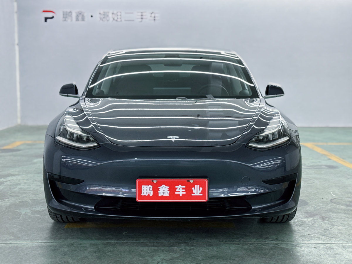 特斯拉 Model 3  2019款 標(biāo)準(zhǔn)續(xù)航后驅(qū)升級版圖片