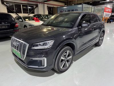 2021年3月 奥迪 Q2L e-tron e-tron 纯电智酷型图片