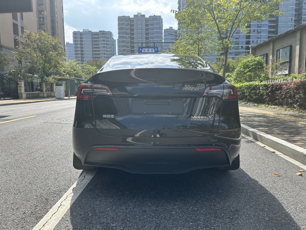 特斯拉 Model Y  2022款 后輪驅(qū)動版圖片