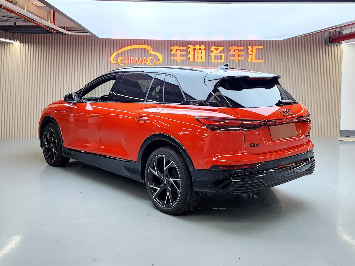 奧迪 奧迪Q5 e-tron  2022款 50 e-tron quattro edition one 藝創(chuàng)典藏版圖片