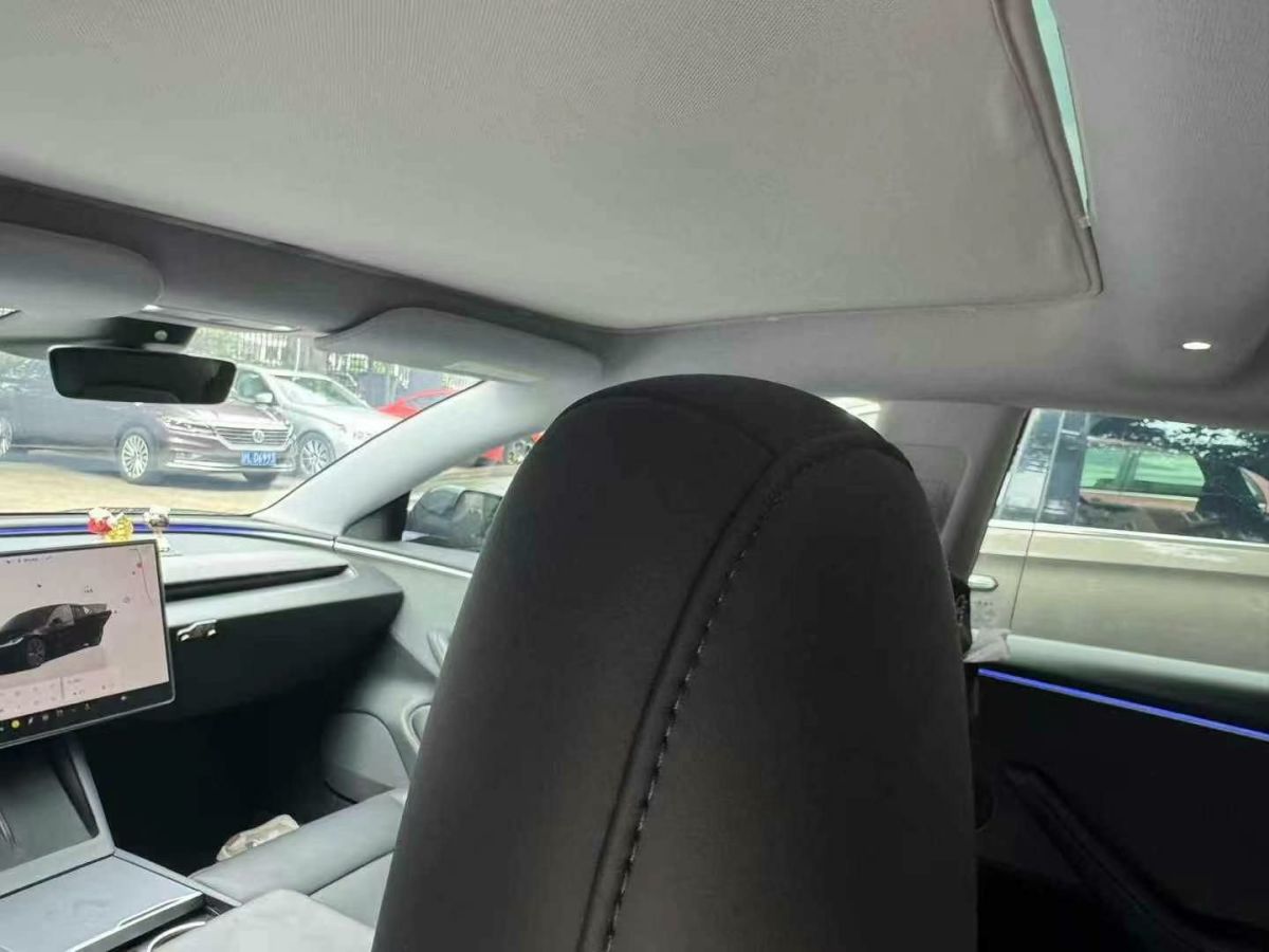 特斯拉 Model Y  2024款 Performance高性能版圖片