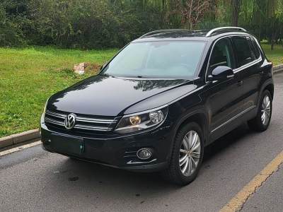 2014年10月 大眾 Tiguan(進口) 2.0TSI 舒適版圖片