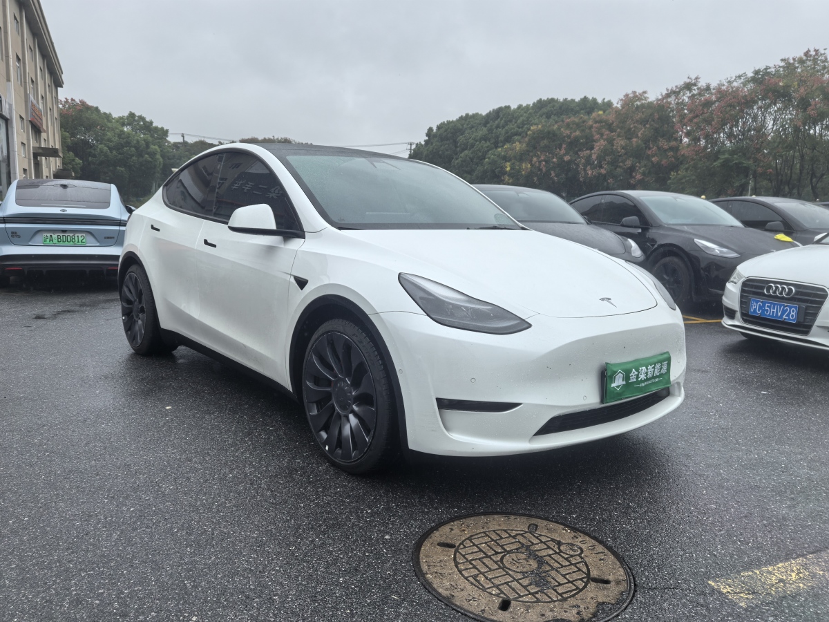 特斯拉 Model Y  2022款 Performance高性能全輪驅(qū)動版圖片