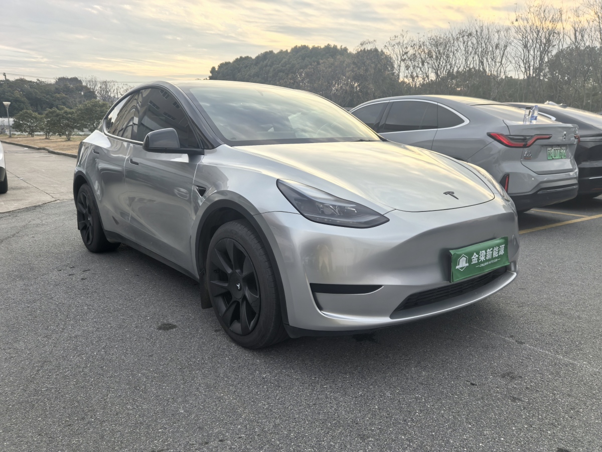 特斯拉 Model 3  2020款 改款 長續(xù)航后輪驅(qū)動版圖片