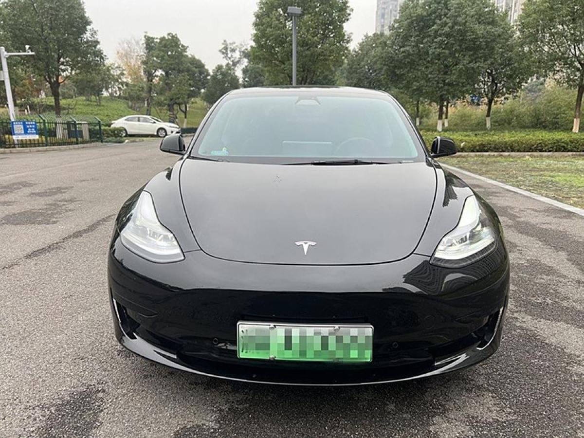 特斯拉 Model 3  2021款 改款 標準續(xù)航后驅(qū)升級版圖片