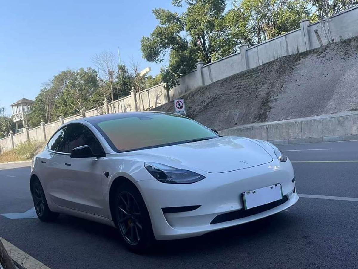 特斯拉 Model Y  2023款 后輪驅(qū)動版圖片