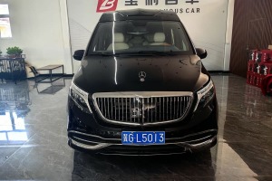 威霆 奔馳 2.0T 商務(wù)版 8座
