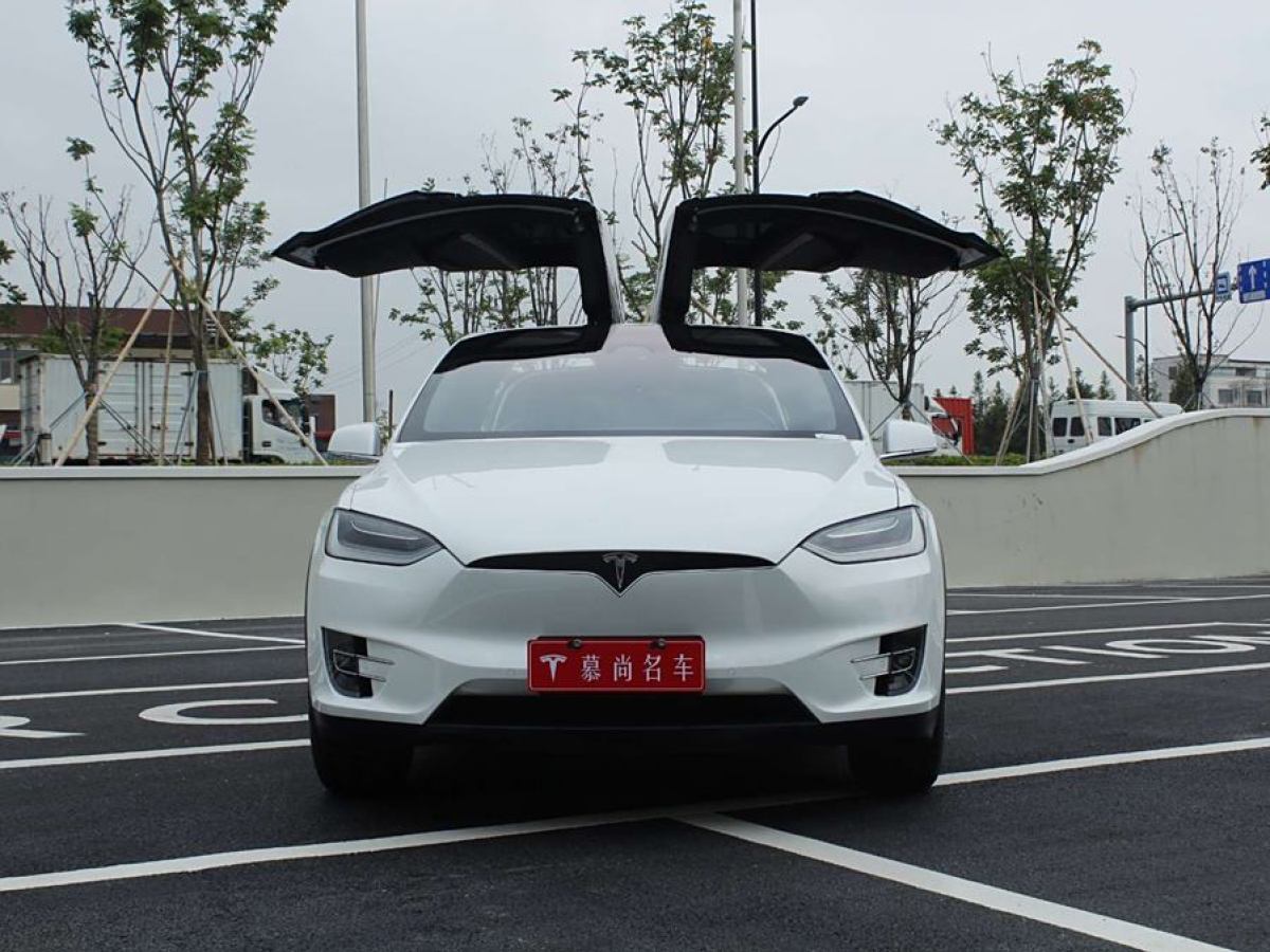 2021年2月特斯拉 Model X  2020款 長(zhǎng)續(xù)航升級(jí)版