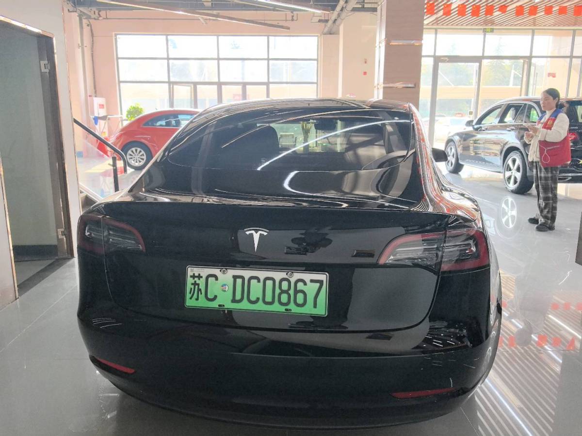 特斯拉 Model 3  2019款 標(biāo)準(zhǔn)續(xù)航后驅(qū)升級版圖片