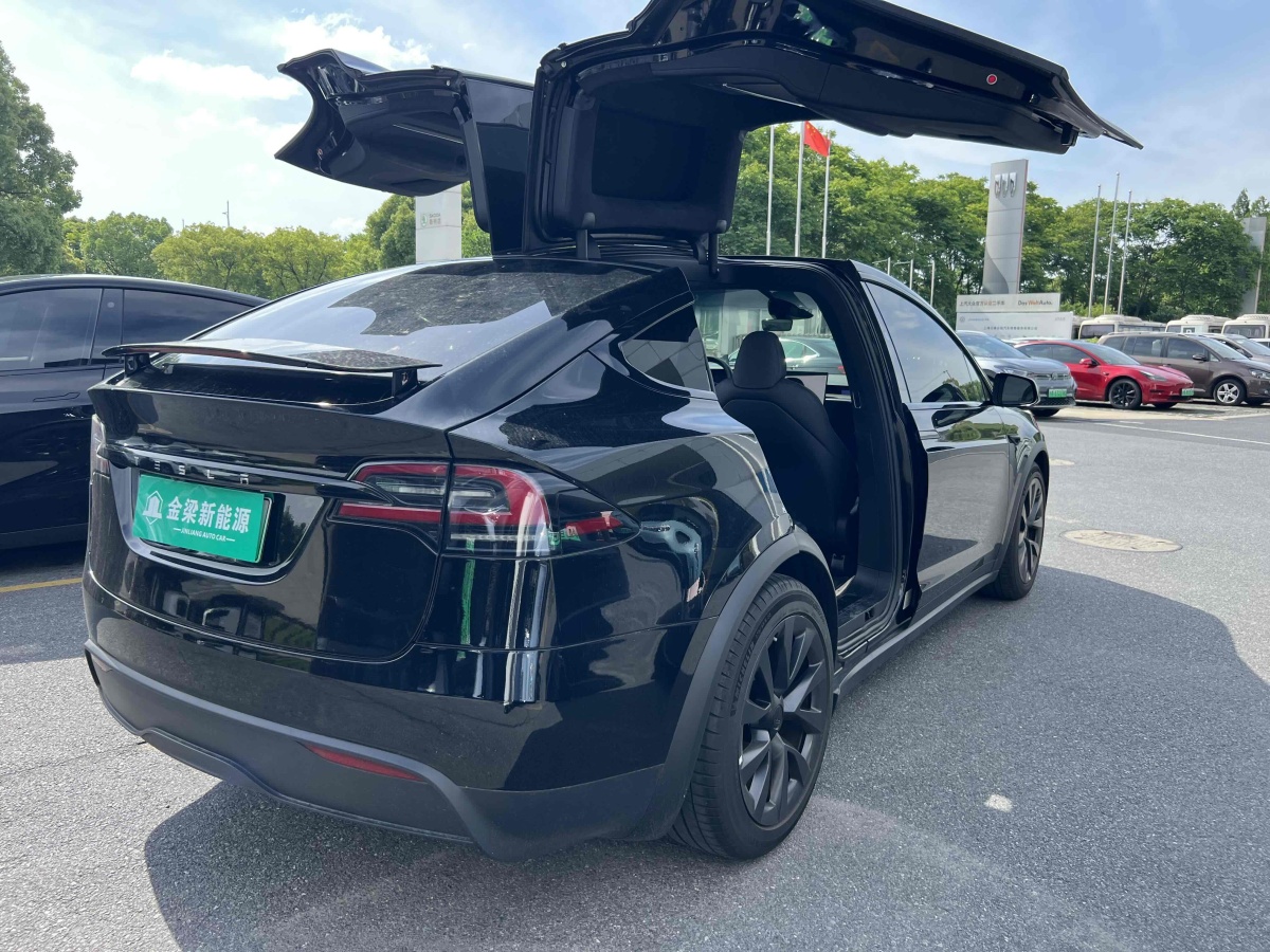 特斯拉 Model X  2023款 雙電機(jī)全輪驅(qū)動(dòng)版圖片
