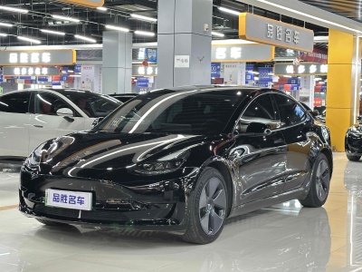 2021年6月 特斯拉 Model 3 標(biāo)準(zhǔn)續(xù)航后驅(qū)升級(jí)版圖片