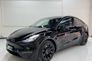 Model Y 特斯拉 標(biāo)準(zhǔn)續(xù)航后驅(qū)版
