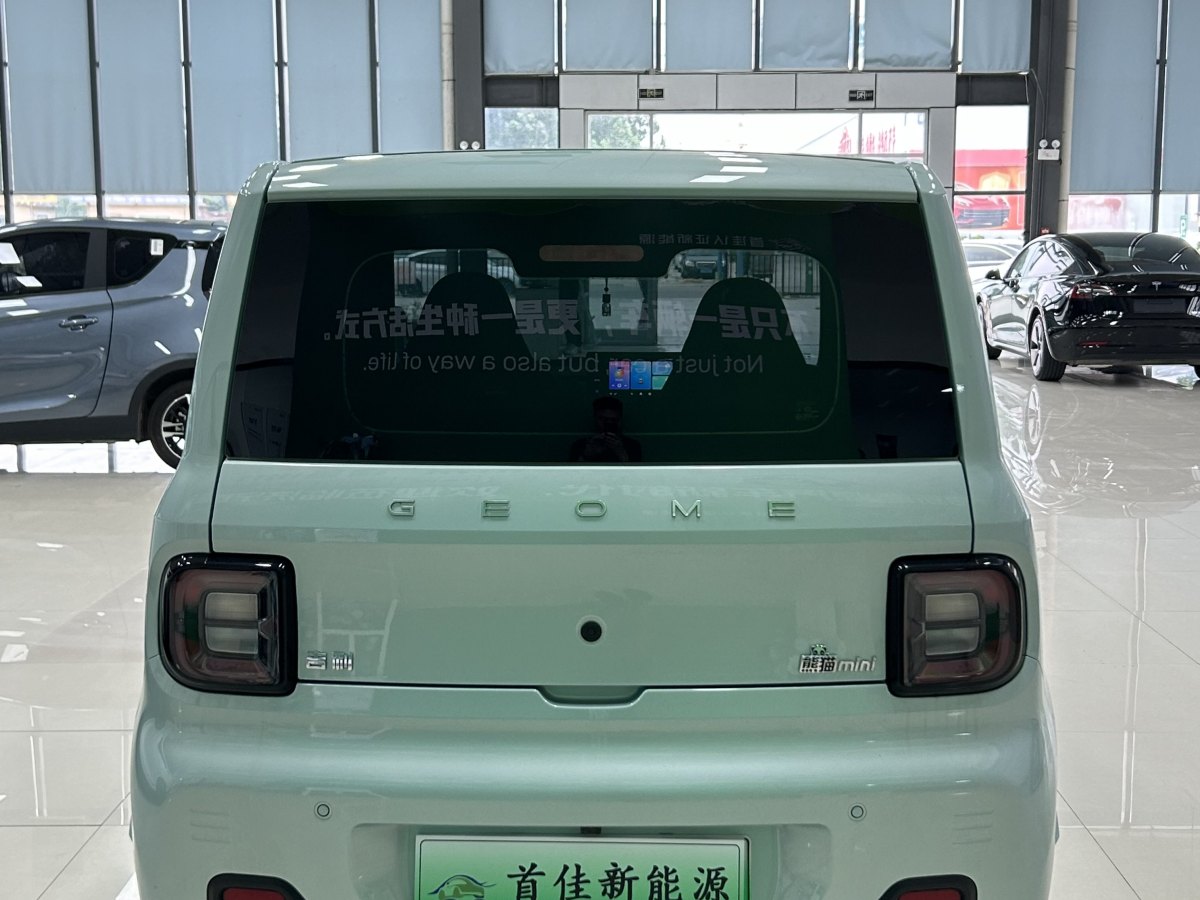 吉利 熊猫mini  2023款 200km 耐力熊图片