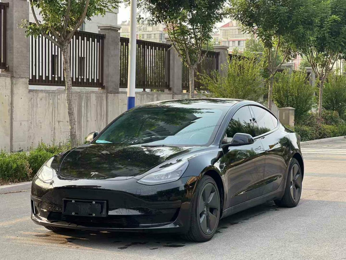 特斯拉 Model 3  2022款 Performance高性能全輪驅(qū)動(dòng)版圖片