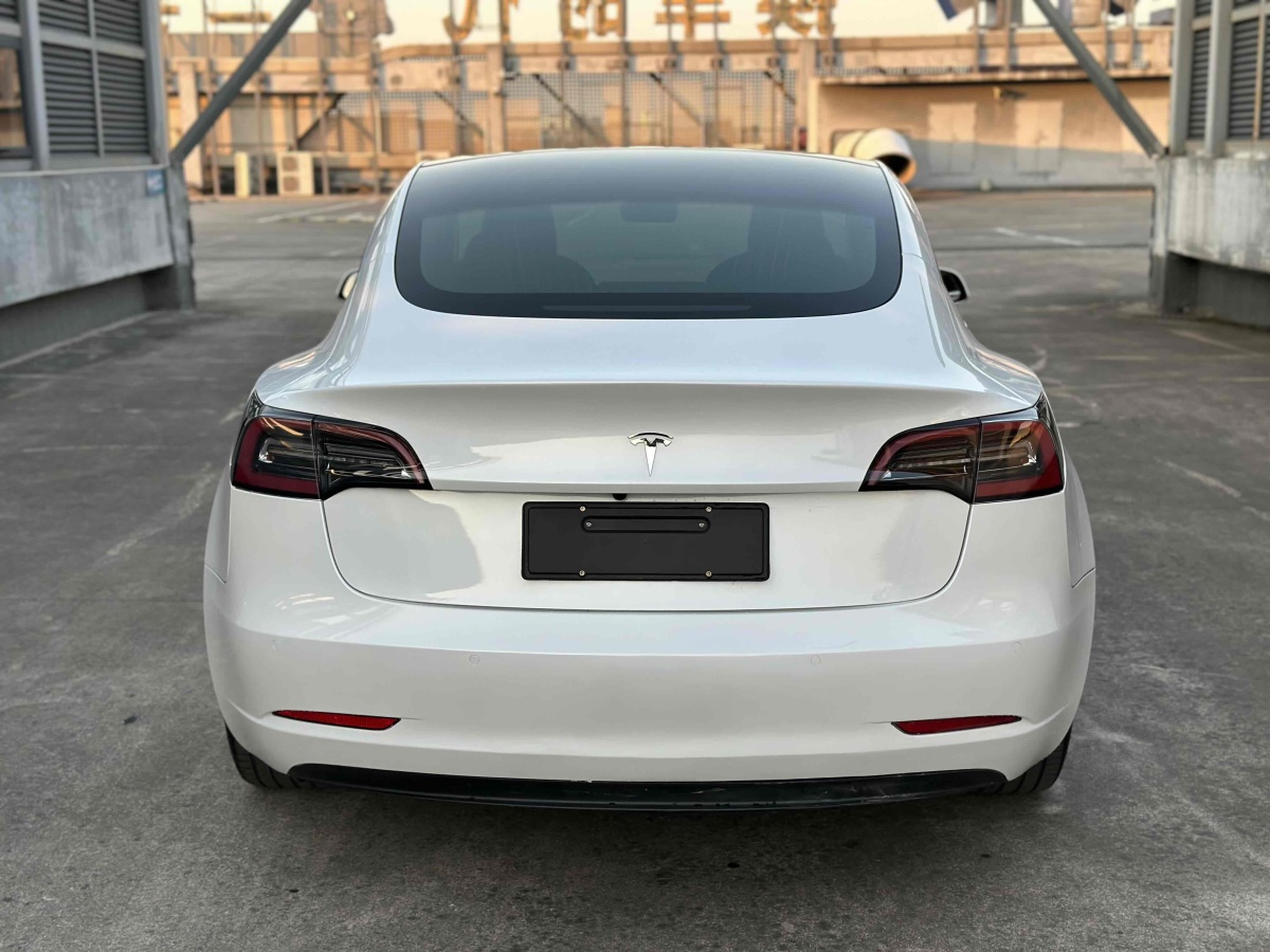 特斯拉 Model 3  2019款 長(zhǎng)續(xù)航全輪驅(qū)動(dòng)版圖片