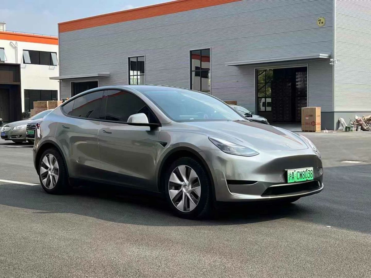 2022年1月特斯拉 Model 3  2022款 后驅(qū)版