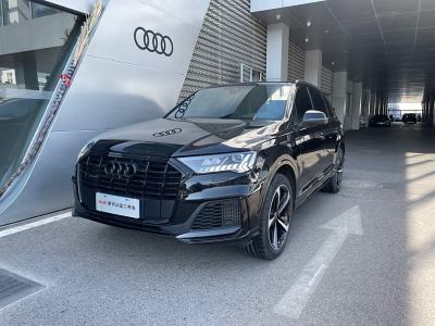 2022年3月 奧迪 奧迪Q7(進(jìn)口) 55 TFSI quattro S line冰雪運(yùn)動(dòng)版圖片