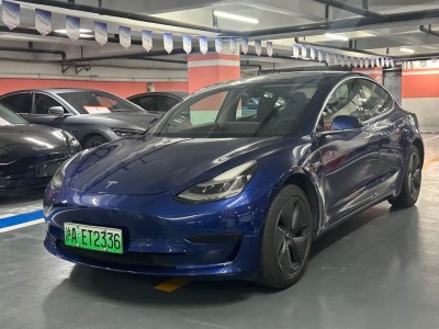 2020年1月 特斯拉 Model 3 標(biāo)準(zhǔn)續(xù)航后驅(qū)升級版圖片