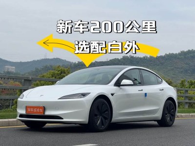 2025年3月 特斯拉 Model Y 改款 后輪驅(qū)動版圖片