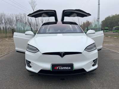 2017年09月 特斯拉 Model X Model X 100D 長(zhǎng)續(xù)航版圖片