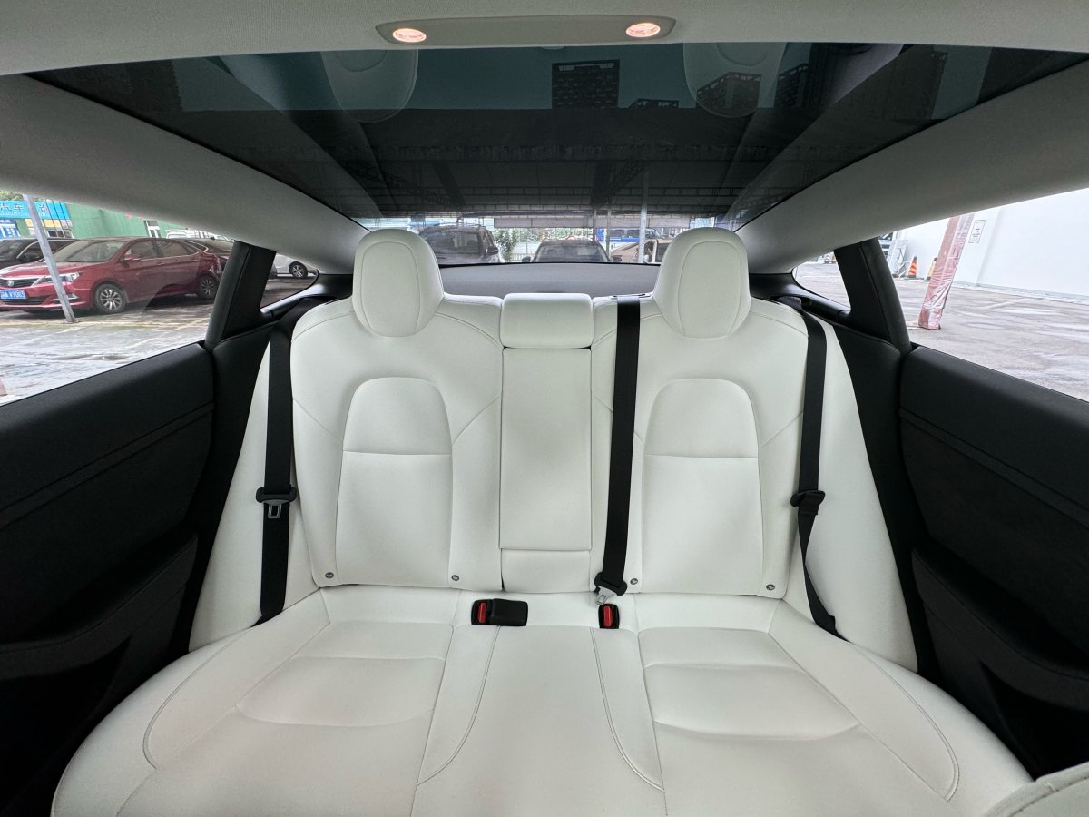 特斯拉 Model 3  2019款 標(biāo)準(zhǔn)續(xù)航后驅(qū)升級(jí)版圖片