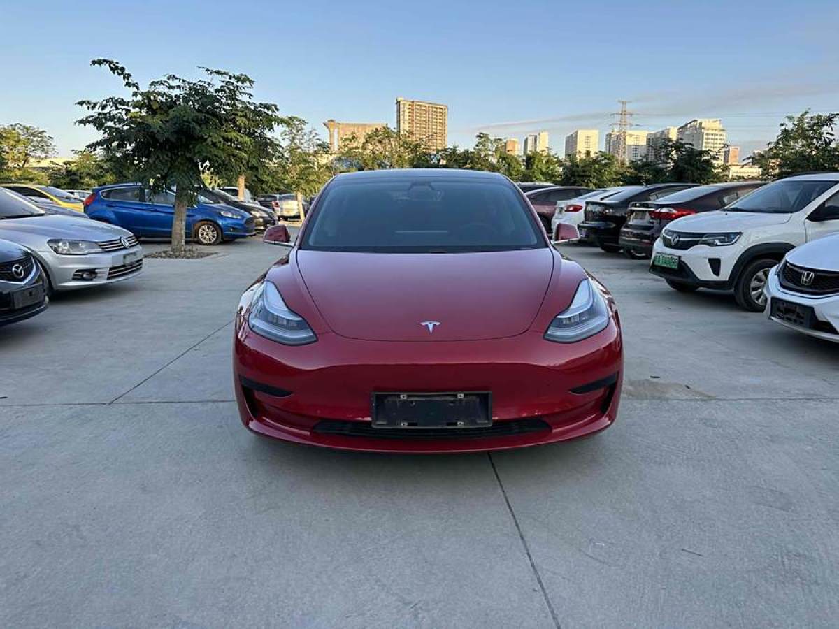 特斯拉 Model 3  2020款 改款 標(biāo)準(zhǔn)續(xù)航后驅(qū)升級(jí)版圖片