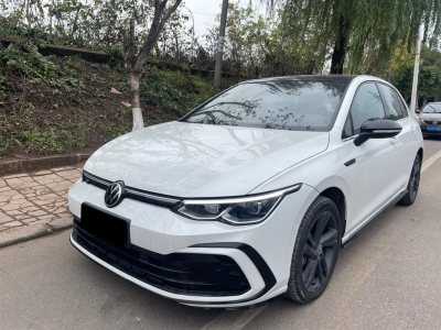 高爾夫圖片 大眾 280tsi dsg r-line