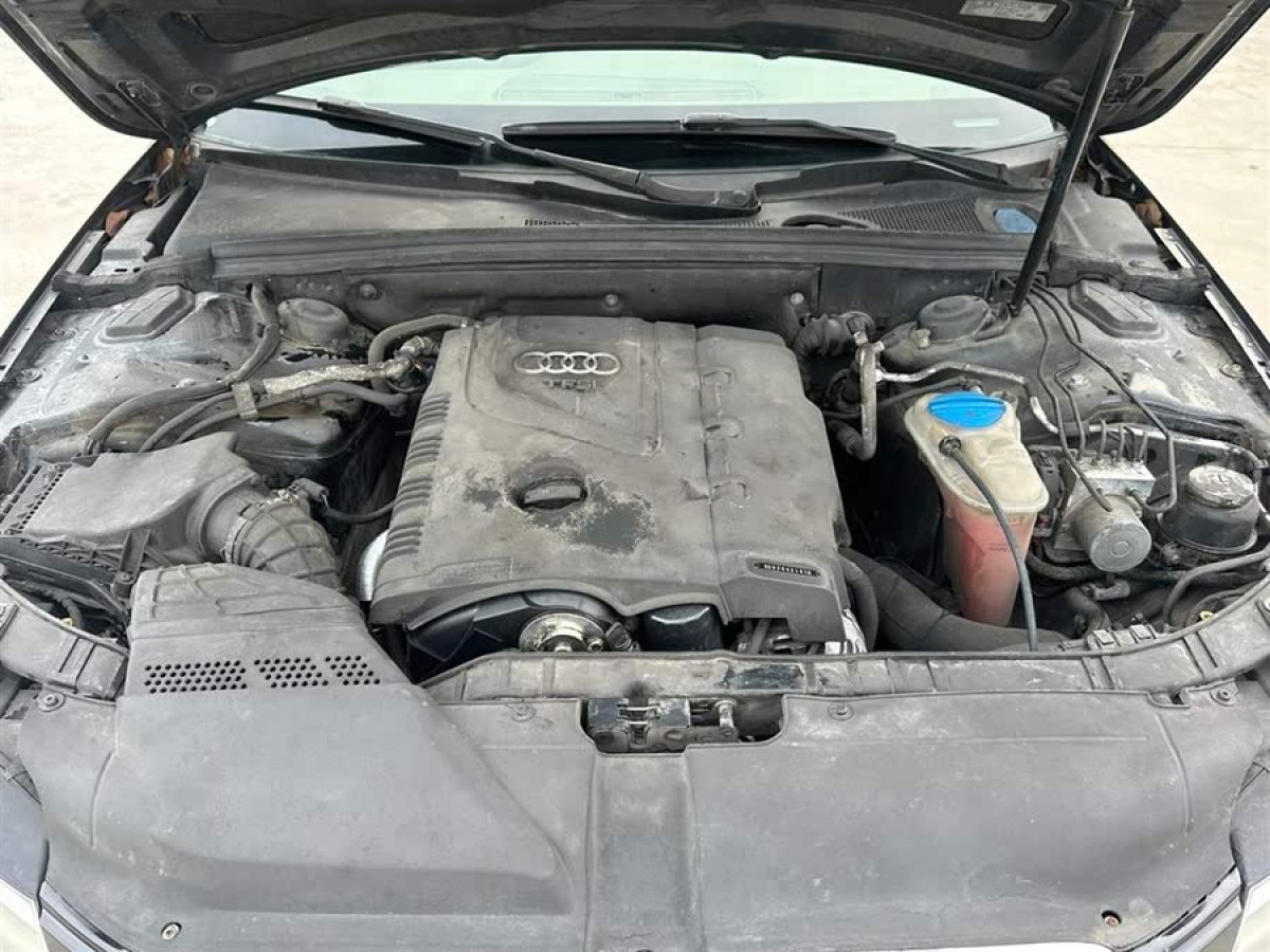 奧迪 奧迪A4L  2010款 2.0 TFSI 舒適型圖片