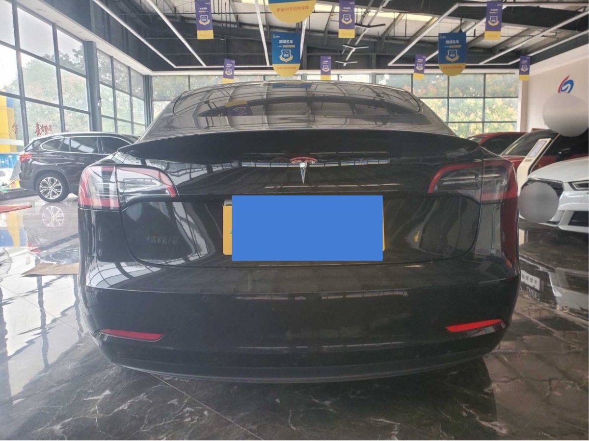 特斯拉 Model 3  2022款 Performance高性能全輪驅(qū)動(dòng)版圖片