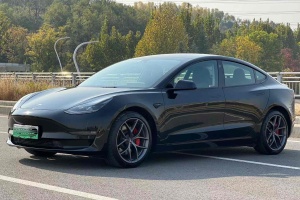 Model 3 特斯拉 Performance高性能全輪驅(qū)動版