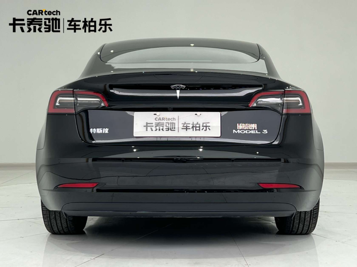 特斯拉 Model 3  2019款 标准续航后驱升级版图片