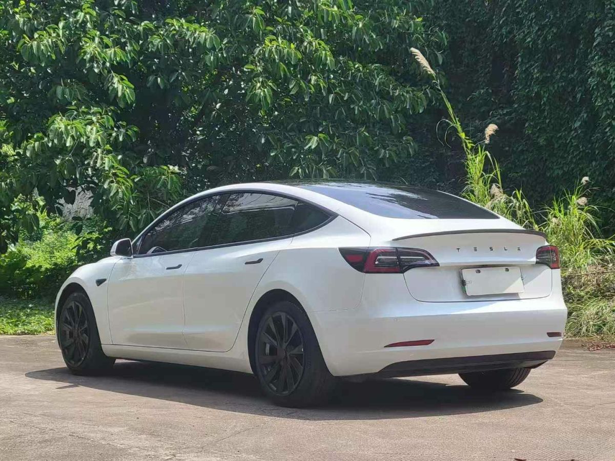 特斯拉 Model 3  2020款 標準續(xù)航后驅(qū)升級版圖片