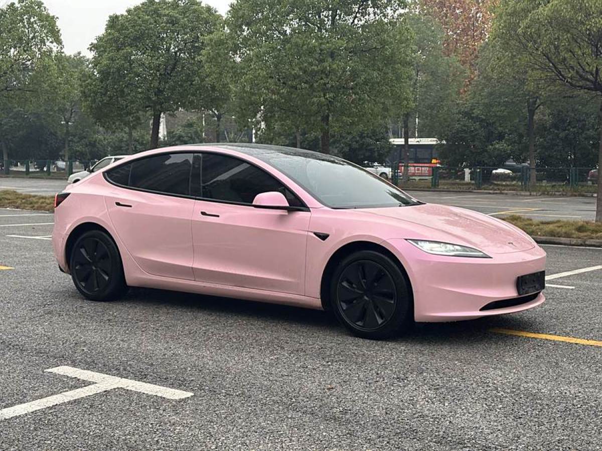 特斯拉 Model Y  2023款 后輪驅(qū)動版圖片