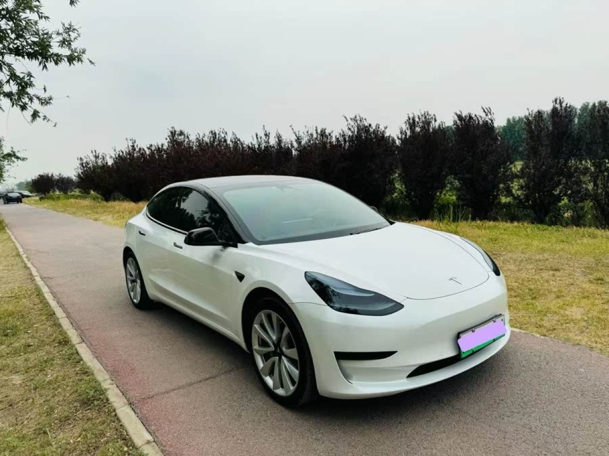 特斯拉 Model 3  2020款 改款 標(biāo)準(zhǔn)續(xù)航后驅(qū)升級版圖片