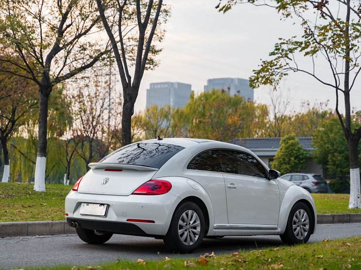 大眾 甲殼蟲  2014款 1.4TSI 豪華型圖片