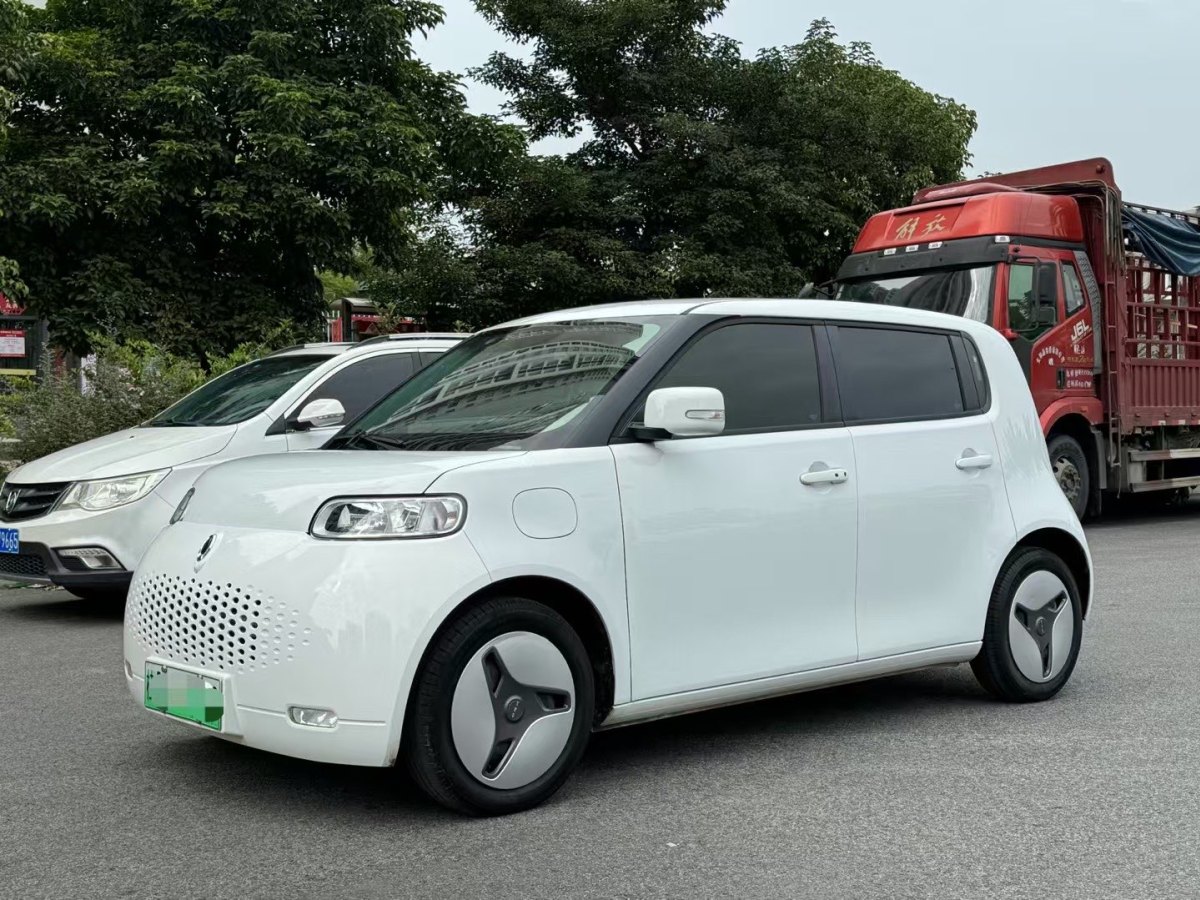 歐拉 歐拉白貓  2020款 360km 豪華型圖片