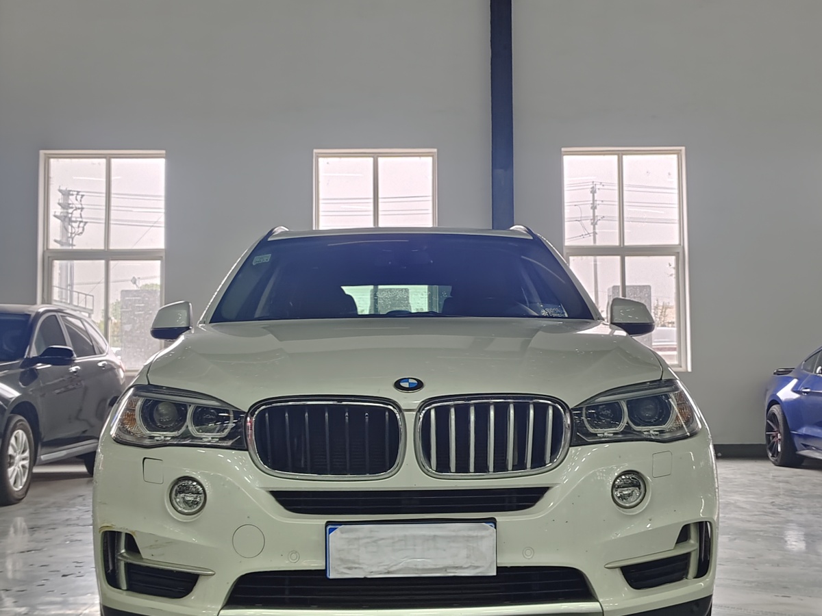 寶馬 寶馬X5  2014款 xDrive35i 領(lǐng)先型圖片